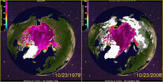 Area glaciation (purple) and snowy (white). To historical images from the 1979 area is covered in snow reported. Daily Arctic Sea Ice Maps 
