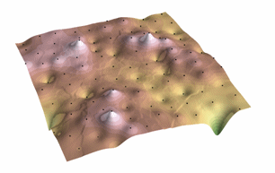IDW Interpolated Surface
