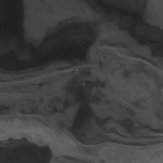 Two polar bears (centre) show up as white dots on satellite imagery over Nunavut in 2012. High-resolution satellite images are being increasingly used by scientists to get a look at animals living in remote, expensive-to-reach places. THE CANADIAN PRESS/HO, Imagery courtesy of Digital Globe, Inc. ©2012