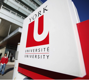 York-University1