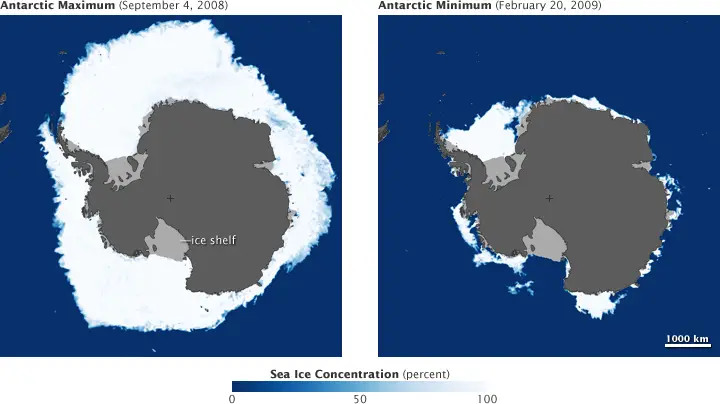 Antarctic sea ice peaks in September, and reaches a minimum in February. In some places, sea ice melts completely in the summer. (NASA maps by Jesse Allen, based on AMSR-E data from the National Snow and Ice Data Center.)