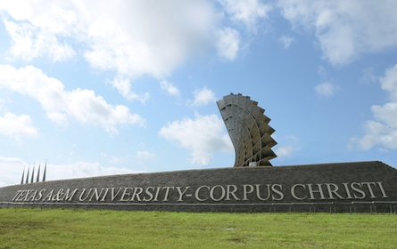 Texas A&M University-Corpus Christi