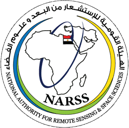 NARSS_logo