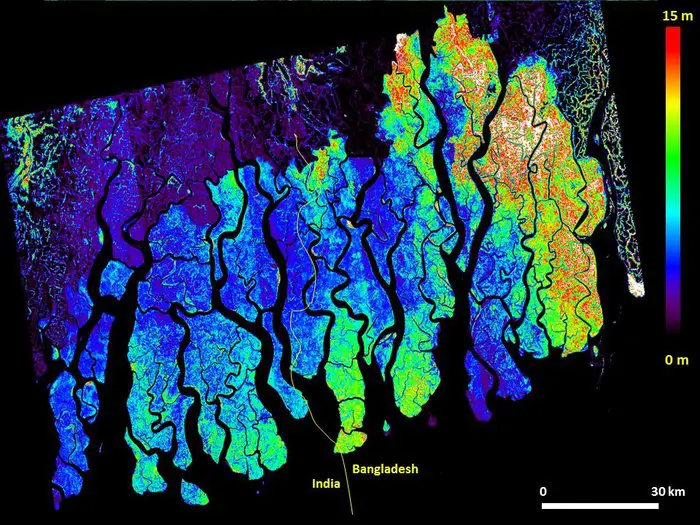 Height of Bangladesh mangrove . Credit:DLR TanDEM-X data, NASA Goddard Space Flight Center information product