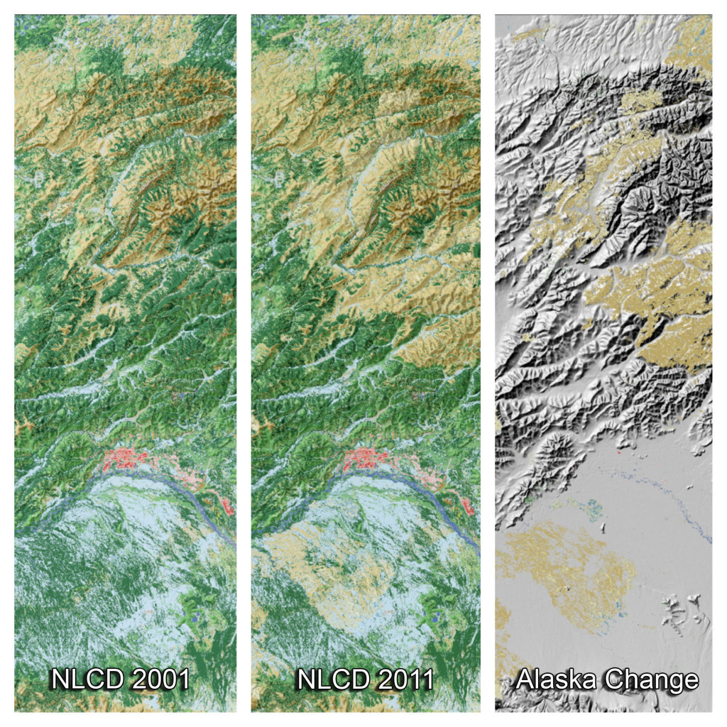 These three panels from the National Land Cover Database depict land cover change in the vicinity of Fairbanks, AK, from 2001 to 2011. The left panel shows the status of the land cover in 2001 (forests in green, shrublands in brown, wetlands in blue and urban in red) The middle panel shows the updated land cover in 2011 and the right panel shows areas where change occurred over this 10 years. This change was caused by a wildfire which converted large areas of forests to shrub and grasslands (shades of light brown in the right panel). Approximately one million acres burn across Alaska each year.