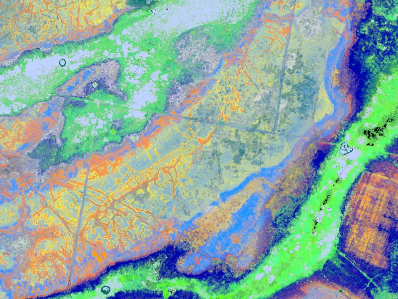 A vegetation map, showing different kinds of vegetation in different colors.