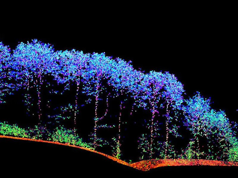 With the laser data, a 3D map of the surface vegetation can be obtained.
