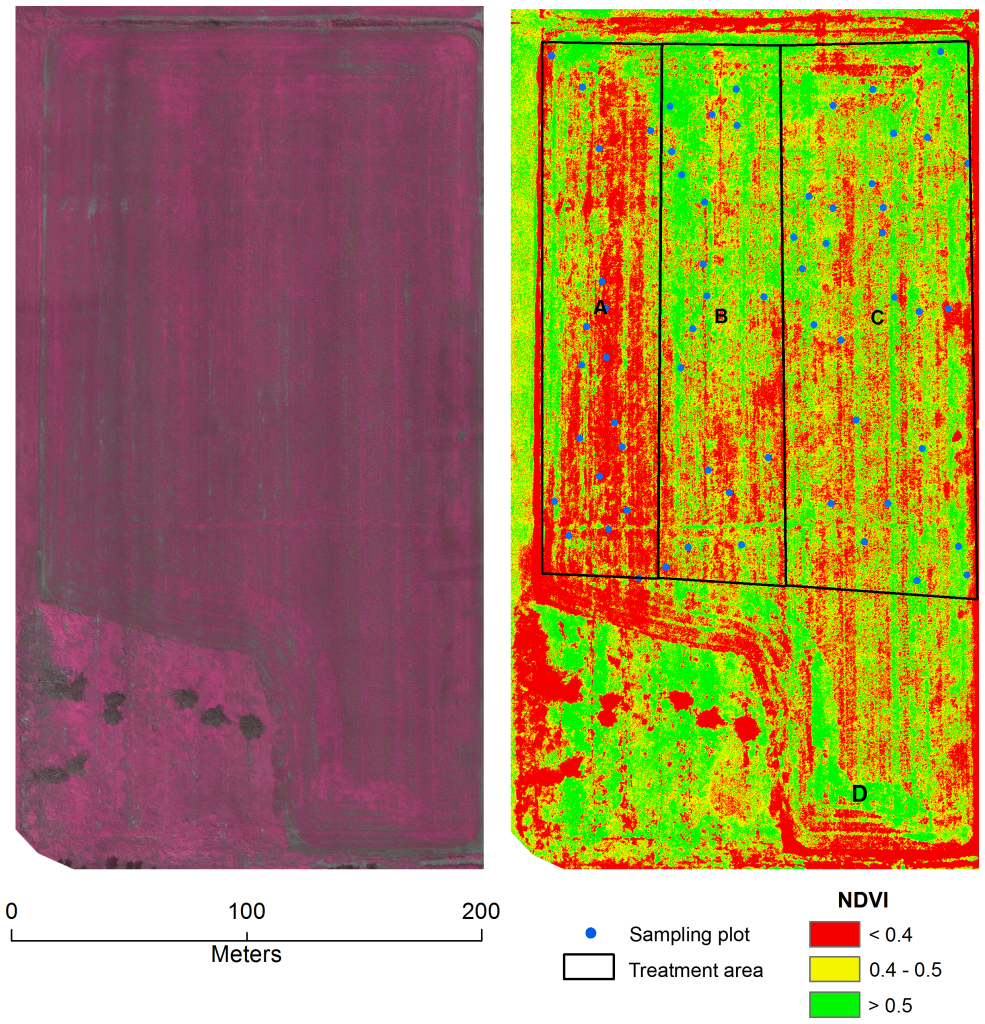 Mosaicked image map based on UAV images of a soybean field in Sturgeon Falls, ON, Canada (79°56′51″E, 46°20′14″N) taken on July 12, 2013.