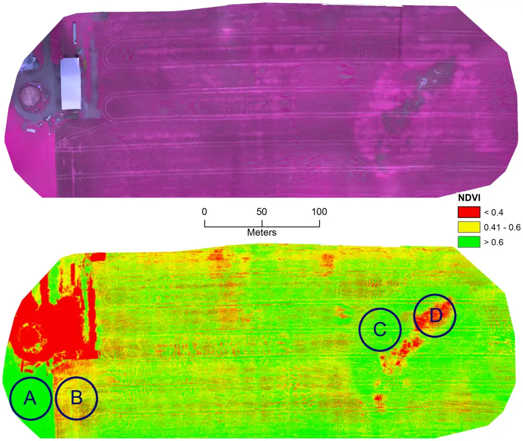 The top image is a mosaicked infrared color composite map (NIR, red, green-no enhancement) of a wheat field located in Verner, ON, Canada (80°5′50″E, 46°22′35″N) that was stricken by army worms and lodging taken on July 31, 2013. The bottom image is the corresponding NDVI derived map. The A indicates a healthy non-infested alfalfa field, the B indicates a section of the wheat crop hit by army worms, the C shows an area of lodging and D indicates a rock outcrop.