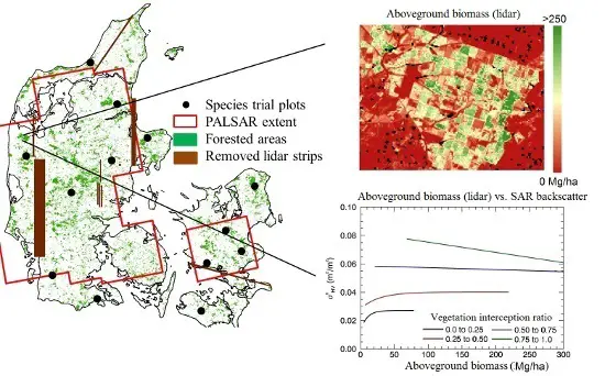 SAR Backscatter Related to Forest Cover