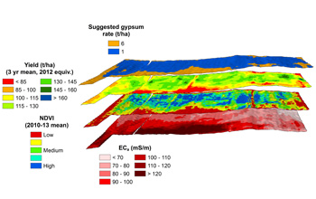 sugarcane mapping