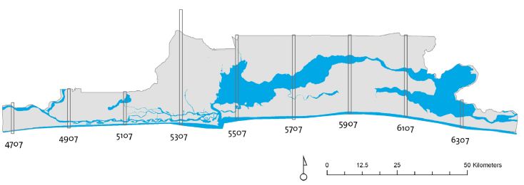 Study Area: Strips of data tiles were selected because the full dataset for the Lagos State area was too extensive.