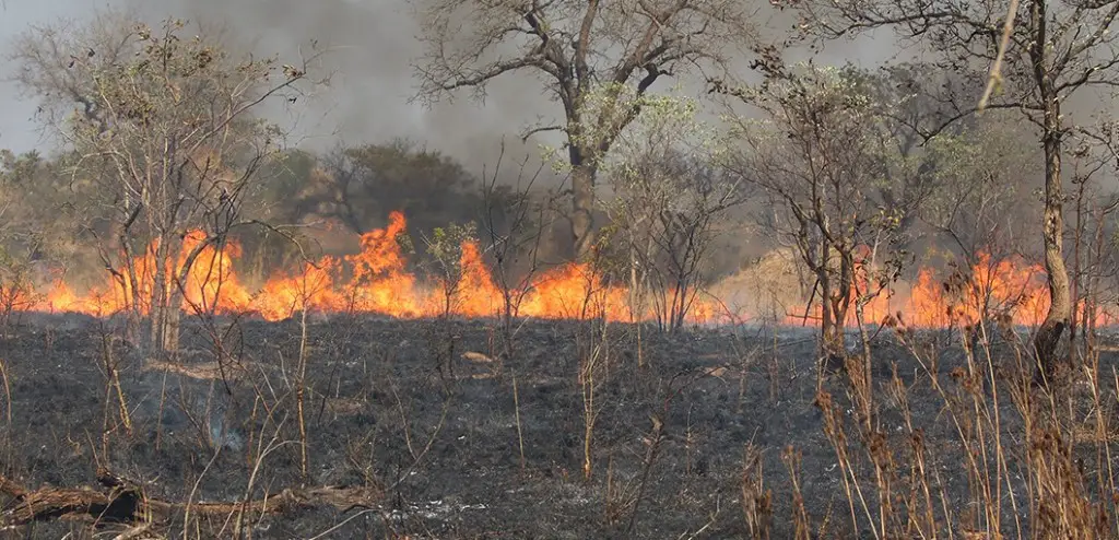 A 2014 international field campaign in South Africa’s Kruger National Park validated several satellite fire detection products including the new Suomi NPP 375-meter product. Credits: Meraka Institute CSIR, South Africa
