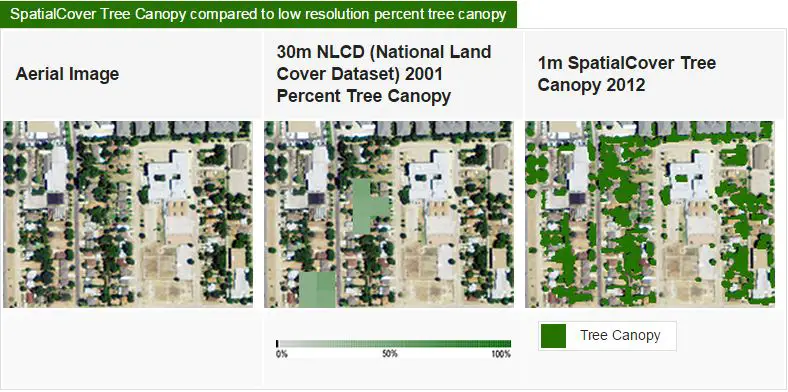 SpatialCover Tree Canopy