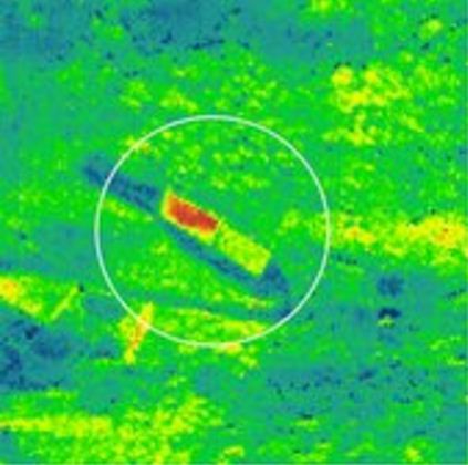 Vegetation under stress. Credit: ESA