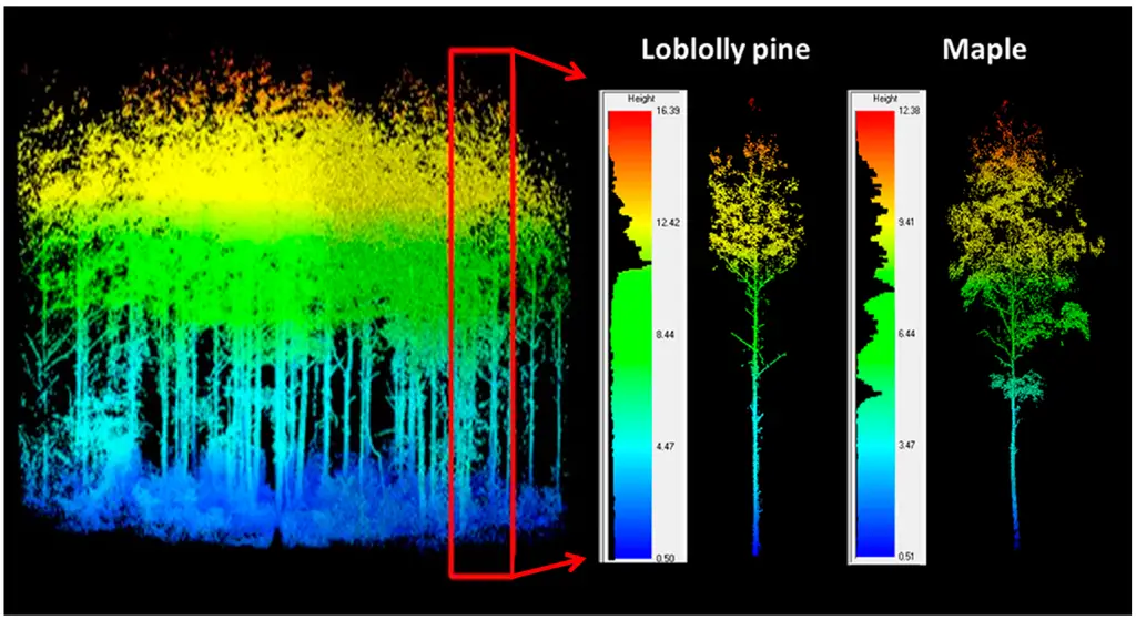 Extraction of individual trees using crown widths predicted from terrestrial laser scanning (TLS) derived diameter at breast height.