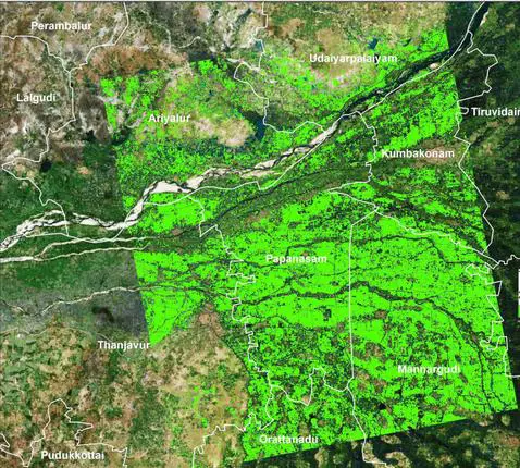 A map of paddy cultivated area in Thanjavur prepared using images from the Sentinel 1A satellite.