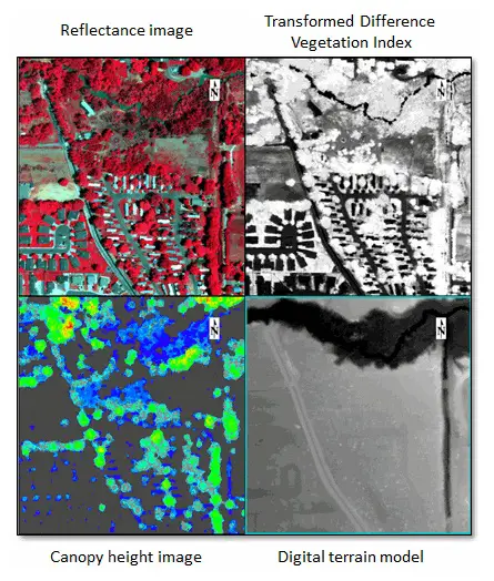 Multi-view display in ENVI showing hyperspectral- and LiDAR-derived products