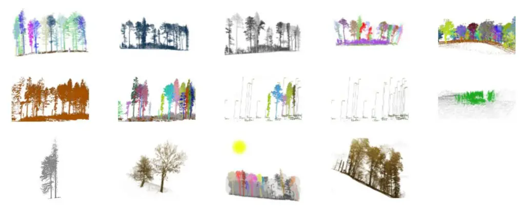 3D forest application data visualization