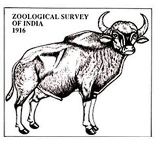 zoological survey of india logo