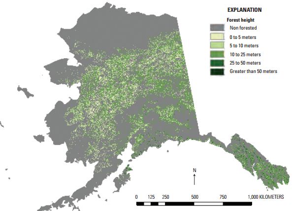 Figure 1. Landscape Fire and Resource Management Planning Tools (LANDFIRE) Program 2012 Alaska forest canopy height product reflecting revised legend. Shades of green indicate different forest height classes. Gray shading indicates areas of shrub lands, ice, snow, and water, among others.