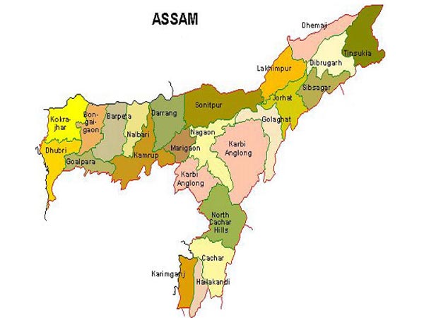 Assam Beings Gis Mapping Of Dhubri Town Gis Resources