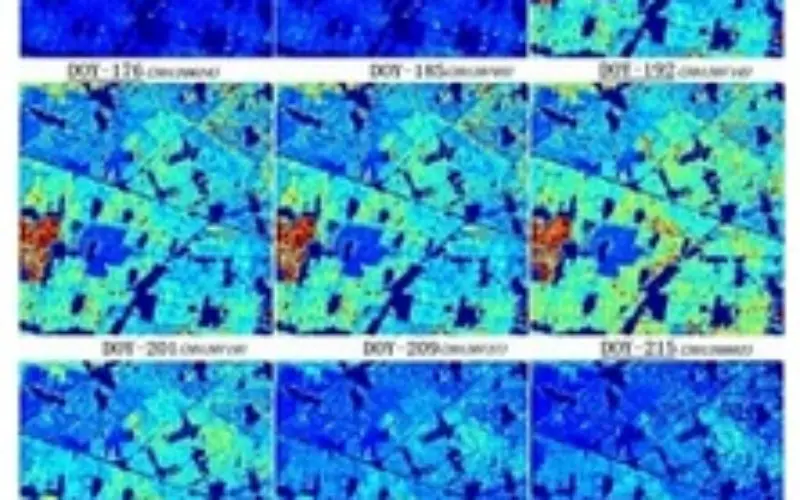 Retrieval of a Temporal High-Resolution Leaf Area Index (LAI) by Combining MODIS LAI and ASTER Reflectance Data