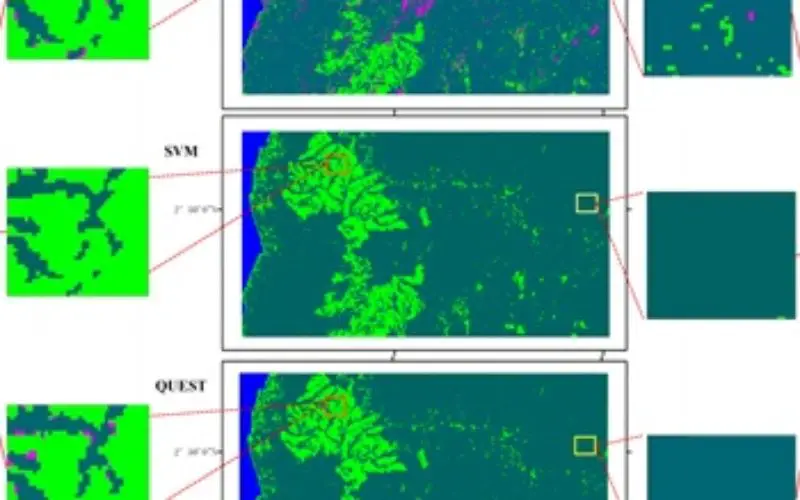Mapping Oil Palm Plantations in Cameroon Using PALSAR 50-m Orthorectified Mosaic Images