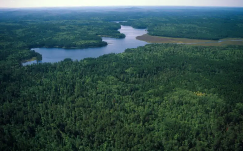 Regional Equivalent Water Thickness Modeling from Remote Sensing across a Tree Cover/ LAI Gradient in Mediterranean Forests of Northern Tunisia