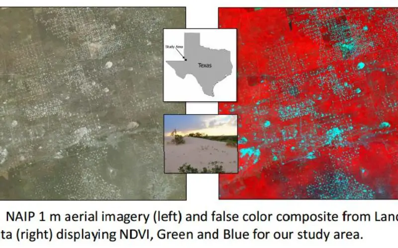 Utilizing Patch Metrics to Improve Classification of Remote Sensing Imagery
