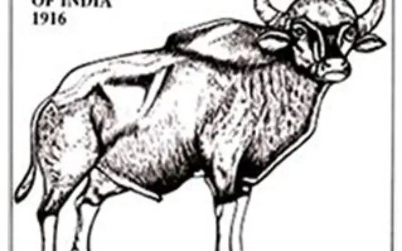 GIS-enabled Complete List of Indian Fauna Soon: Zoological Survey of India