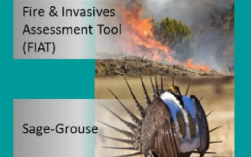 BLM, USGS Publish Data and Visualization Site for Sagebrush Geospatial Data