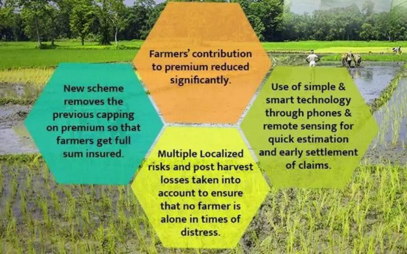 PM Modi Reviews Progress of Soil Health Cards and Pradhan Mantri Fasal Bima Yojana